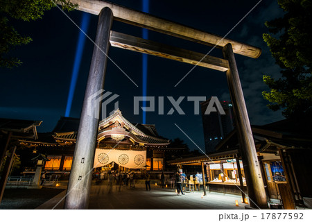 靖国神社 ライトアップ みらいとてらす 拝殿 中門鳥居の写真素材