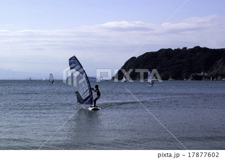 女性のボードセーリング 女性のボードセーリング 17877602
