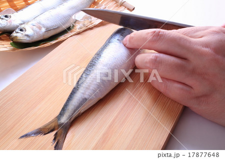 魚　さばく　調理 17877648