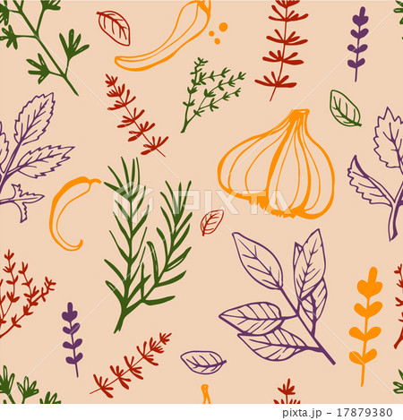 Seamless vintage pattern hand drawn herbs Seamless vintage pattern hand drawn herbs 17879380