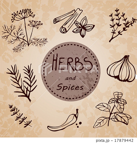 Hand drawn illustration  17879442