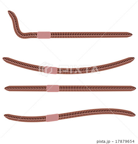 Animal Earth Red Worms for Fishing 17879654