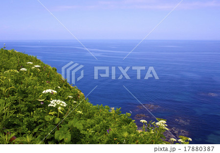 知床の海 17880387