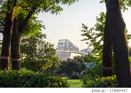 午後の若洲キャンプ場 午後の若洲キャンプ場 17880447