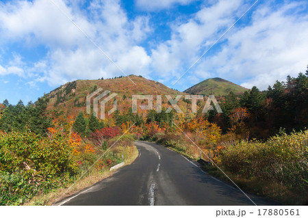 紅葉の八甲田-国道103号の笠松峠付近 紅葉の八甲田-国道103号の笠松峠付近 17880561