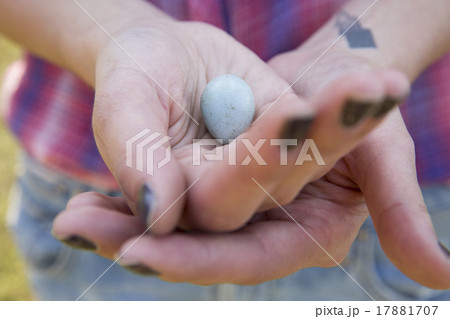 17164 17164 17881707