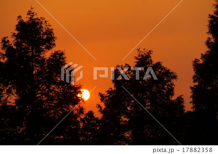 夕暮れ夕日の写真 17882358