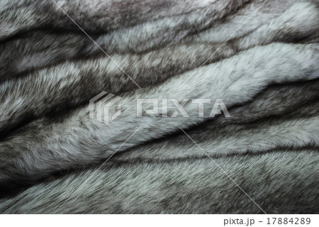 furs of polar fox 17884289
