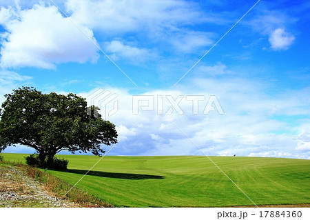 秋空と緑の大地との写真素材