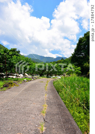 農道 農道 17884792