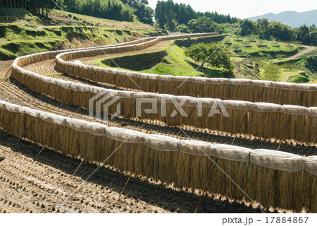 尾木場の棚田 17884867