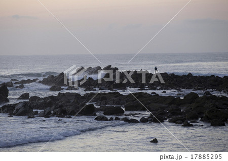 海釣り 17885295