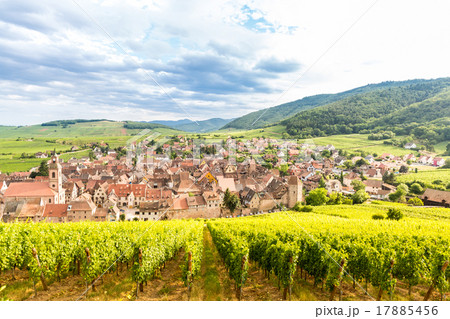 Riquewihr Alsace France 17885456