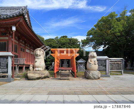 四国霊場第84番札所屋島寺本堂右、日本三名狸、四国狸の総大将太三郎狸（蓑山大明神） 17887846