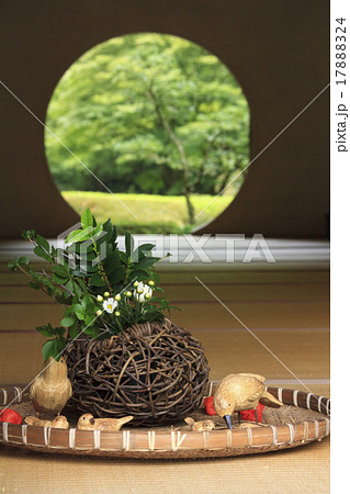 明月院の秋 17888324