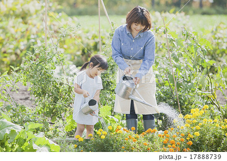 ガーデニングする親子 17888739