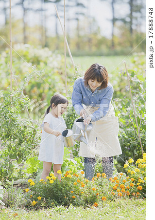 ガーデニングする親子 17888748