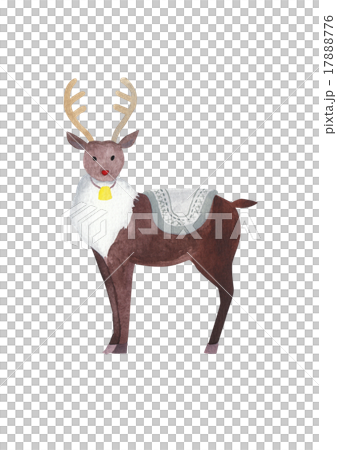 reindeer  17888776