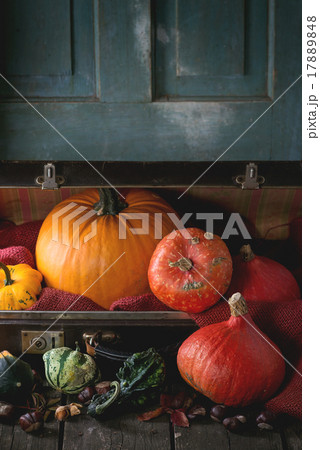 Assortment of different pumpkins in suitcase Assortment of different pumpkins in suitcase 17889848