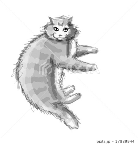 Cute grey cat, sketch for your design Cute grey cat, sketch for your design 17889944