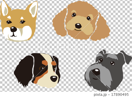 Dog 4 Dog breed 17890495