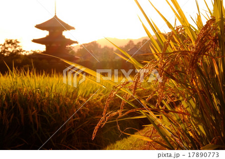 法起寺の夕焼け 法起寺の夕焼け 17890773