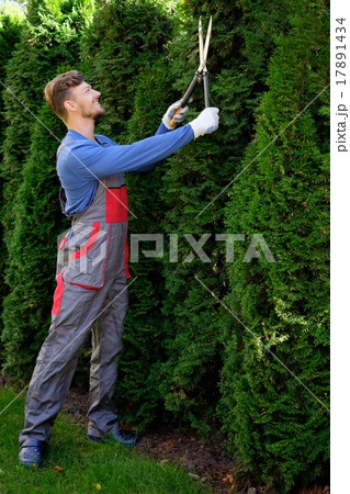 Young gardener cutting trees with clippers 17891434