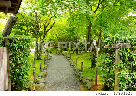 京都　あだし野念仏寺 17891629