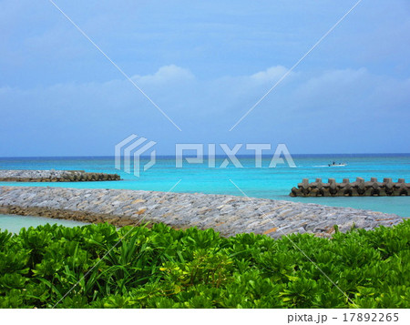 茶花海岸 17892265