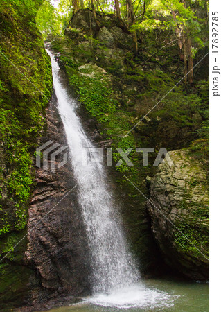 高知県大豊町　竜王の滝 17892785