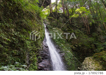 高知県大豊町　竜王の滝 17892786