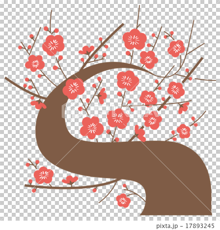 花木イメージ_梅 花木イメージ_梅 17893245