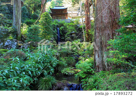 大雄山最乗寺 不動堂と洗心の滝 大雄山最乗寺 不動堂と洗心の滝 17893272