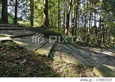 藤坂(岩村城の登城道) 藤坂(岩村城の登城道) 17893325