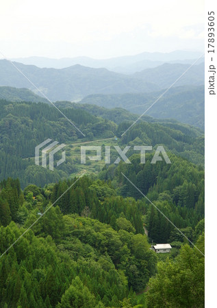 大望峠 17893605