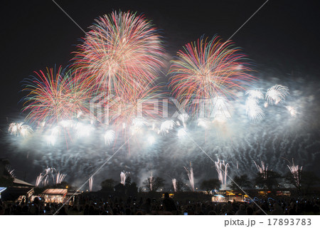 【茨城県】土浦全国花火競技大会　土浦花火づくし 17893783