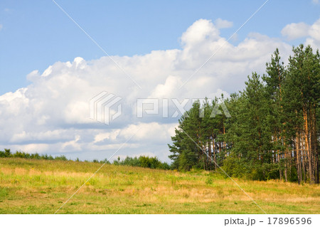 Beautiful summer landscape. Beautiful summer landscape. 17896596