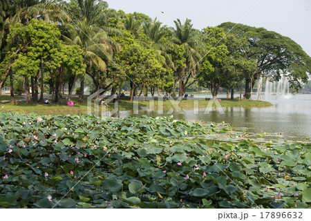 ASIA MYANMAR YANGON KANDAWGYI LAKE PARK 17896632