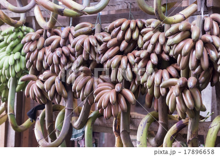 ASIA MYANMAR YANGON MARKET FOOD FRUIT BANANA 17896658