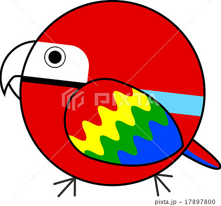 丸鳥 ベニコンゴウインコ のイラスト素材