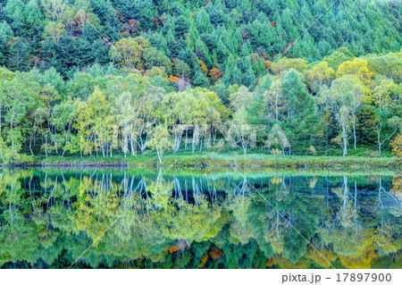初秋の木戸池の夜明け 17897900