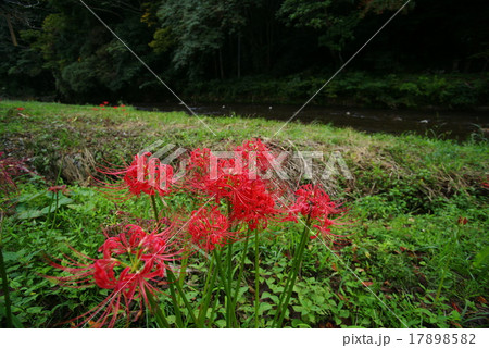 那賀川河畔 那賀川河畔 17898582