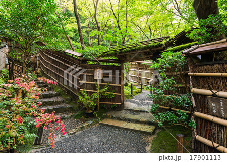 京都 祇王寺 京都 祇王寺 17901113