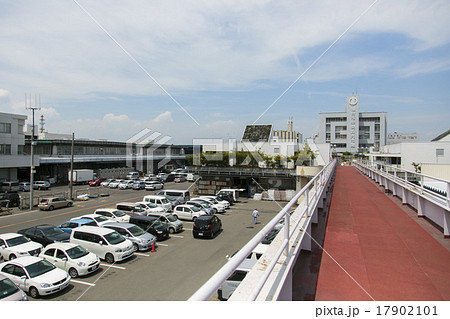 仙台市中央卸売市場003 仙台市中央卸売市場003 17902101