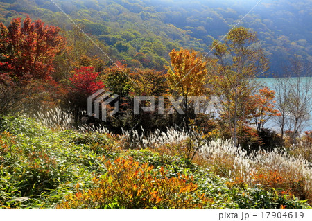 赤城山小沼の紅葉 17904619