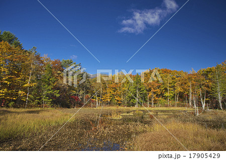 乗鞍高原の秋景色 乗鞍高原の秋景色 17905429