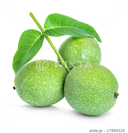 Walnuts green close-up isolated on white Walnuts green close-up isolated on white 17909320