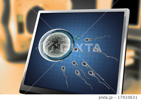 sperm and egg cell. microscopic image at monitor sperm and egg cell. microscopic image at monitor 17910631
