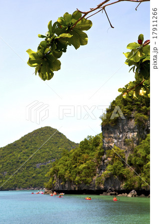 boat coastline of a green lagoon and tree 17911266