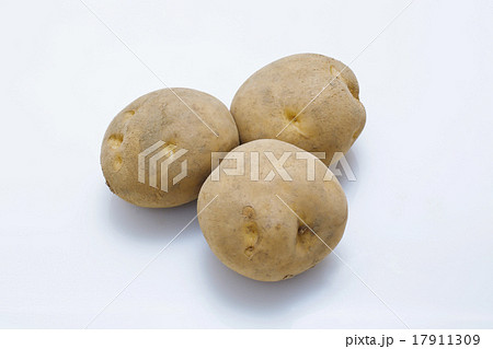 男しゃくいも 17911309